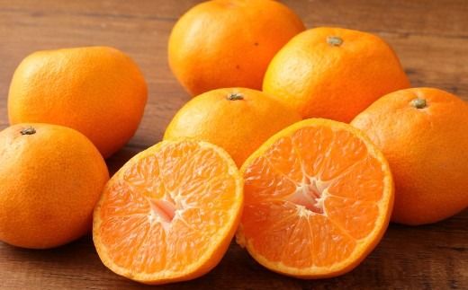 【先行受付】 特選 みかん 5kg 糖度保証 12度！ 【2026年12月上旬から12月下旬発送予定】 温州みかん 果物 フルーツ ミカン 蜜柑 柑橘