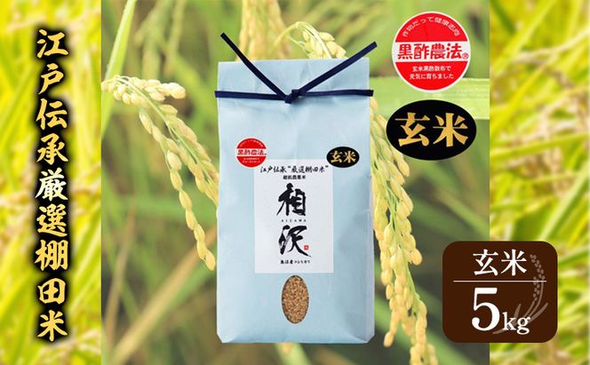【玄米】江戸伝承厳選棚田米５kg お米 コメ 