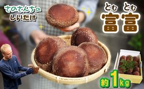 生 しいたけ 富富（とむとむ）約1kg さのさんち 椎茸 シイタケ 肉厚 ジューシー きのこ 静岡県 藤枝市 人気 野菜 旬 安心 安全 JGAP認証農場