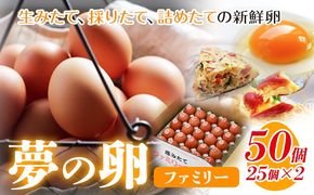 卵 たまご 赤玉 夢の卵 ファミリー 50個《90日以内に出荷予定(土日祝除く)》株式会社めぐみ 岡山県 浅口市 送料無料 25個 × 2セット たっぷり 家族 食卓---124_82_90d_23_16500_s---