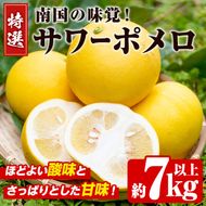 数量限定！特選サワーポメロ(正味約7.0kg～7.5kg・ L～3Lサイズ13～18個) 国産 フルーツ 果物 柑橘類 サワーポメロ 甘味 酸味 デザート おやつ【なかむら果樹園】akn014-02
