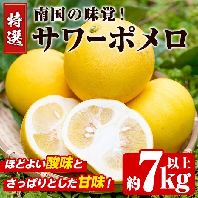 数量限定！特選サワーポメロ(正味約7.0kg～7.5kg・ L～3Lサイズ13～18個) 国産 フルーツ 果物 柑橘類 サワーポメロ 甘味 酸味 デザート おやつ【なかむら果樹園】akn014-02