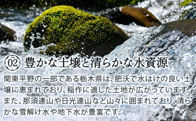 栃木県鹿沼市産 とちぎの星 無洗米 令和7年産 2kg | 水稲うるち精米 単一原料米 お米 特A 大粒 甘さ ※沖縄・離島への配送不可