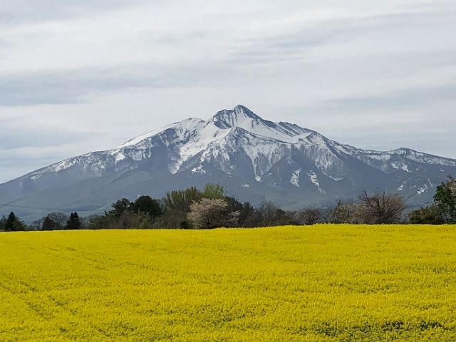 アスパラガス 先行予約 夏アスパラガス 約1.3kg+100g S～2L 約50本前後 訳あり 不揃い マコト農園 規格外 アスパラ グリーンアスパラ 野菜 旬 旬の野菜 産地直送 2026年 2026 予約 冷蔵配送 8月～9月発送