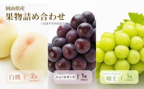 もも ぶどう 2026年 先行予約 詰合/白桃 2玉(1玉220g以上)・ニューピオーネ1房(480g以上)・シャインマスカット 晴王 1房(480g以上) 化粧箱入り 岡山県産 国産 フルーツ 果物 ギフト [№5735-2054]