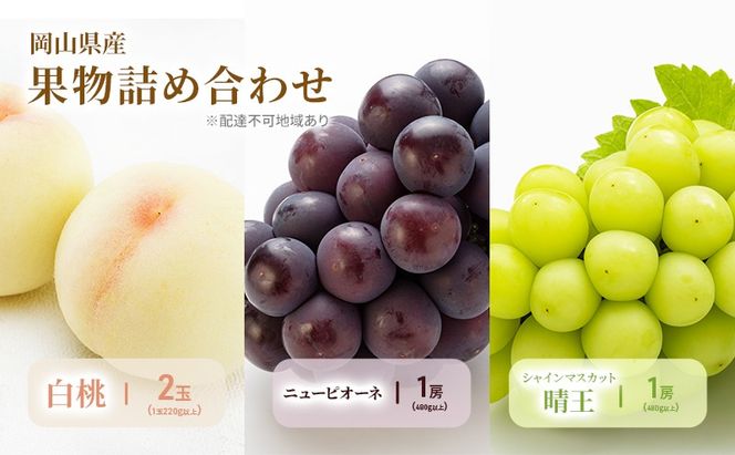もも ぶどう 2026年 先行予約 詰合/白桃 2玉(1玉220g以上)・ニューピオーネ1房(480g以上)・シャインマスカット 晴王 1房(480g以上) 化粧箱入り 岡山県産 国産 フルーツ 果物 ギフト [№5735-2054]