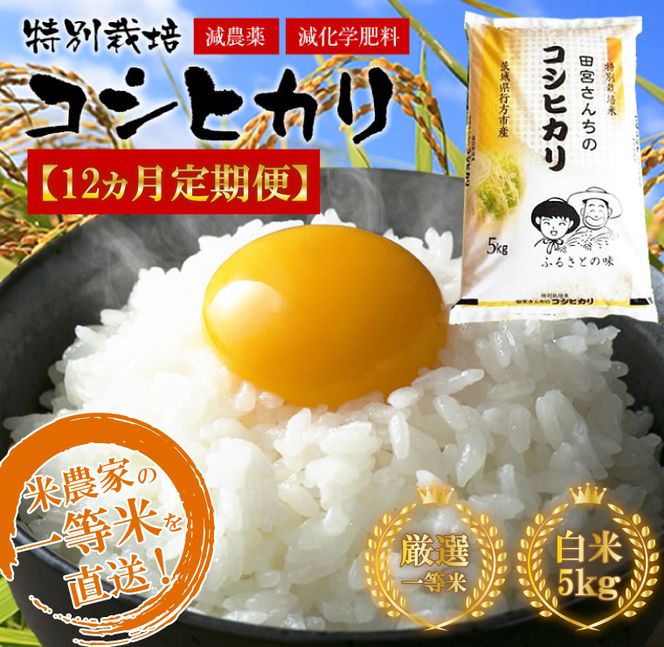 L-9 令和５年産【12ヵ月定期便】田宮さんちのコシヒカリ 5kg×12回