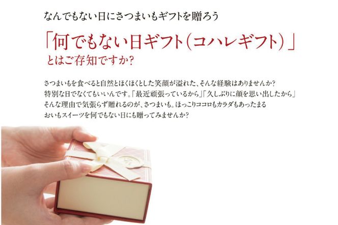 CQ-42　らぽっぽ 熟成蔵 熟成干し芋スライス（1袋 80g） 3袋　干しいも ほし芋 ほしいも ギフト さつまいもスイーツ ご褒美スイーツ  芋スイーツ おいもスイーツ お菓子 さつまいも  健康 おやつ