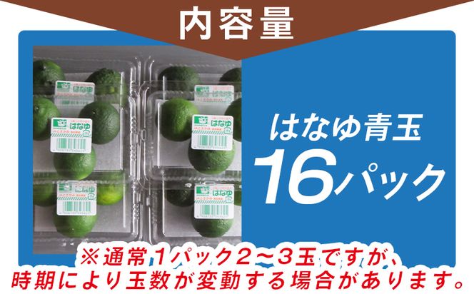 ゆず ＜2026年7月以降順次配送＞柚子 花柚子 虎弥太郎 はなゆ青玉 16パック hy-0002