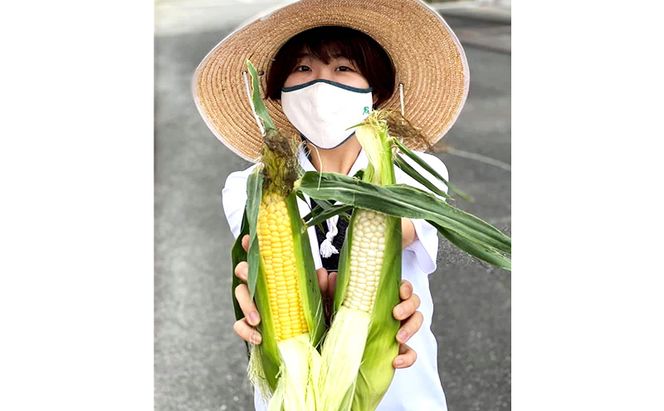 朝採り スイートコーン (10本入) とうもろこし ※離島配送不可