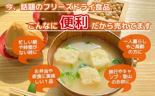 味噌汁 フリーズドライ 南関あげ 15食 [タムラ 福岡県 宇美町 um40azp050004] インスタント みそ汁 味噌 みそ お味噌汁 メール便 メール便対応