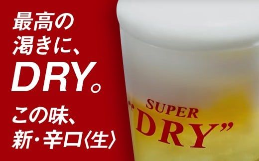 【2ヶ月定期便】アサヒ スーパードライ（合計48本）500ml×毎月1ケース（24本）=計2回お届け | アサヒビール 酒 お酒 ドライ 缶ビール 缶 ギフト 内祝い 茨城県 守谷市 みらい mirai