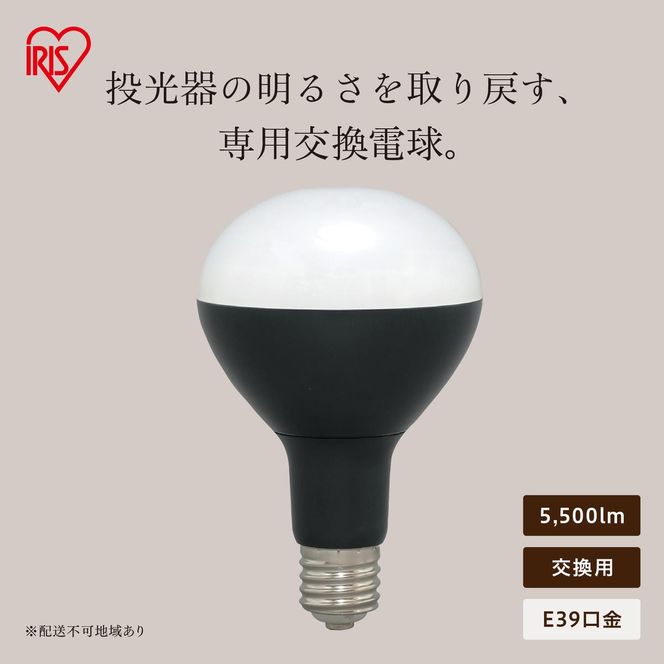 LED電球投光器用 5500lm LDR45D-H-E39