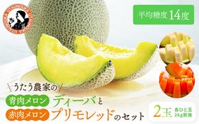 【先行予約】956.【ふるさと納税】青肉メロンディーバと赤肉メロンプリモレッドのセット ※日本全国配送可能  2026年10月上旬頃～11月上旬頃に順次発送予定 313726_BQ012