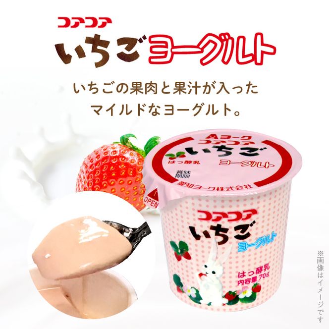 【3ヶ月定期便】愛知ヨーク　コアコアヨーグルト＆国産ゼリーセット　16個入［108A05-T］