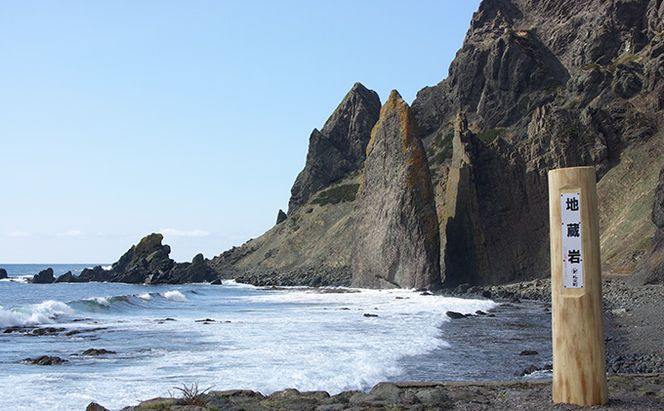 蝦夷ばふんうに（蒸しうに）100g ×1缶 ウニ 雲丹 うに うに缶 北海道 魚貝類 加工食品 