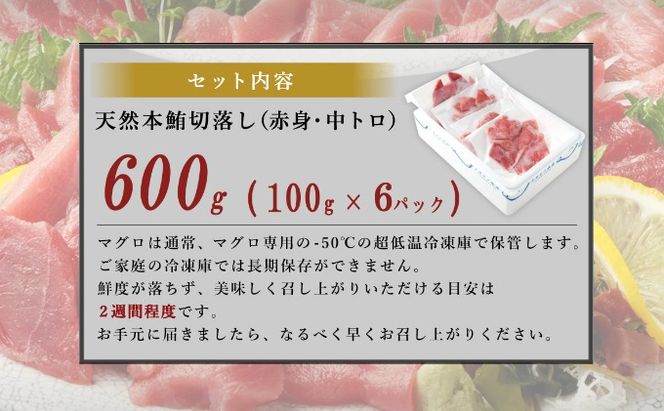  マグロ 中トロ 赤身 切落し【600g (100g×6パック)】天然 本マグロ 本まぐろ まぐろ マグロ 鮪 刺身 魚 惣菜 海鮮丼 魚介類 食べきりサイズ 小分け 冷凍 訳あり 不揃い 15000 15000円 送料無料 室戸 mgr tk115