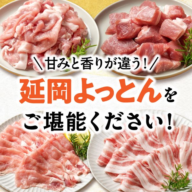 延岡よっとん 食べ比べセット N0220-YB263