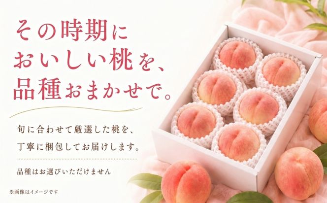 FB001 【2026年 先行予約】日本一の産地山梨県産　朝採れ桃約２kg(５～８玉）