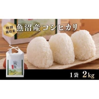 【特別栽培米】頂米 金兵衛 魚沼産コシヒカリ（精米）2kg お米 コメ 