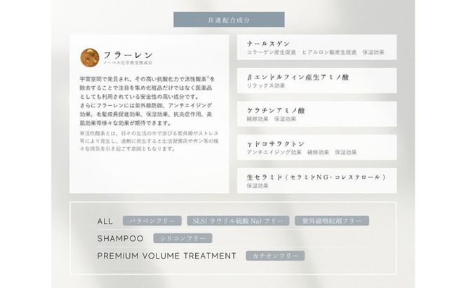 BH4 プレミアムリペアトリートメント　300g