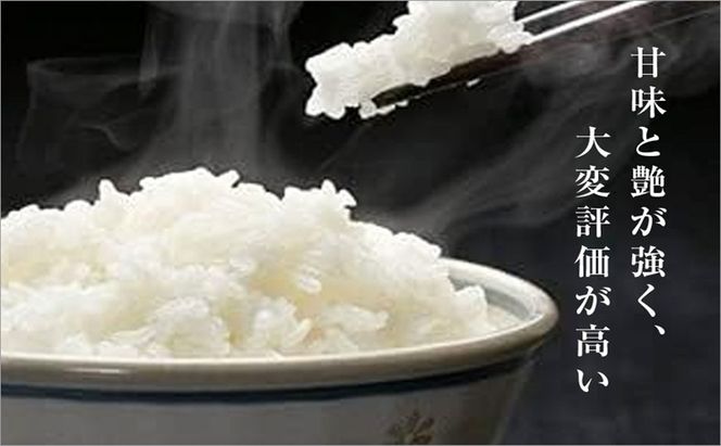 魚沼産コシヒカリ　厳選　低温管理　自社精米　5kg　新潟　こしひかり