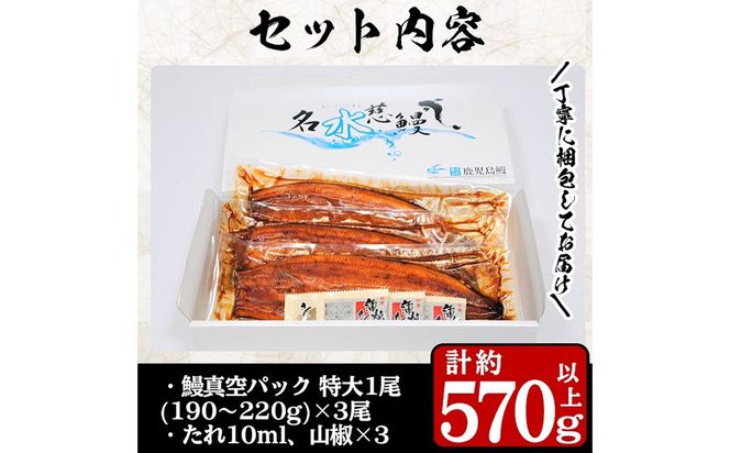 鹿児島県産うなぎ蒲焼 名水慈鰻 特大3尾(1尾190g以上)＜計570g以上＞ b1-023