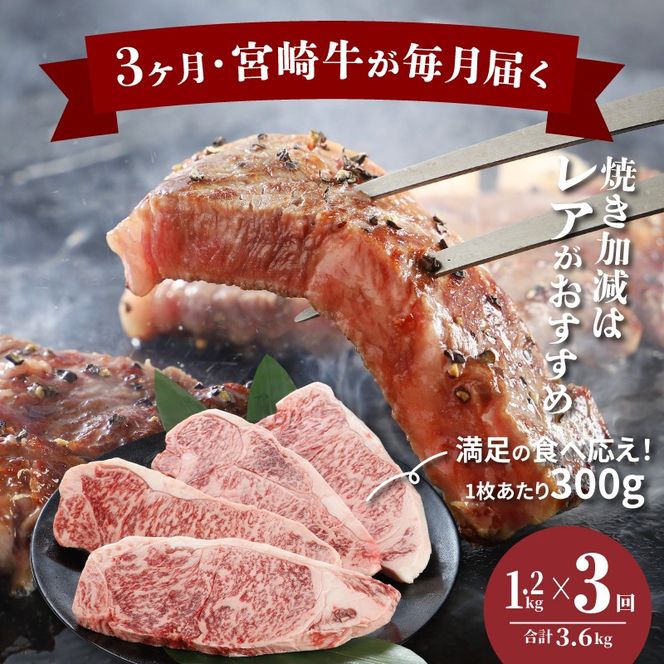 ＜3か月定期便 宮崎牛 特上ロースステーキ 計3.6㎏＞ K16_T007