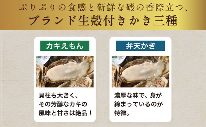 【2月～3月発送】北海道 厚岸産 ブランド牡殻かき 二種 食べ比べ (弁天かき＆カキえもん)　8個 牡蠣 魚貝類 生牡蠣 殻付き牡蠣 カキ