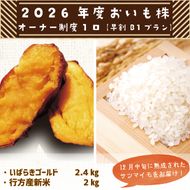 【早割B1プラン】2026年度おいも株オーナー制度 1口｜さつまいも 芋 サツマイモ お芋 おいも株 株 オーナー いばらきゴールド 米 お米 らぽっぽファーム 体験 農園 茨城県 行方市(CQ-6-1)