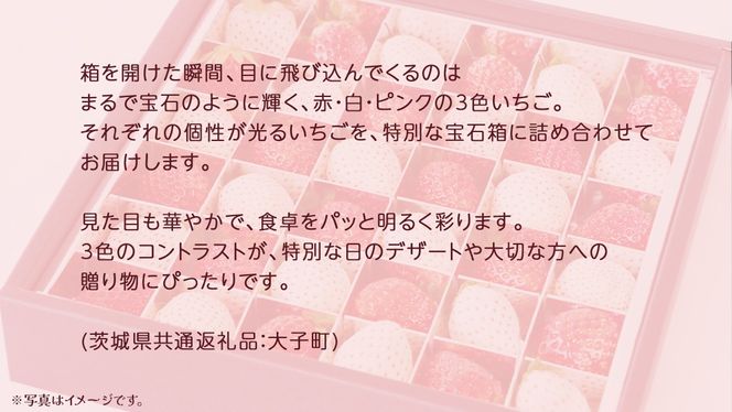 3色いちご の宝石箱36粒【2025年12月上旬発送開始】(茨城県共通返礼品：大子町) いちご 苺 果物 フルーツ 果実