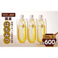 【愛知県小牧市】桃畑で作った完熟非加熱はちみつ200g×3本 パウチ入り ポスト便［055A29］