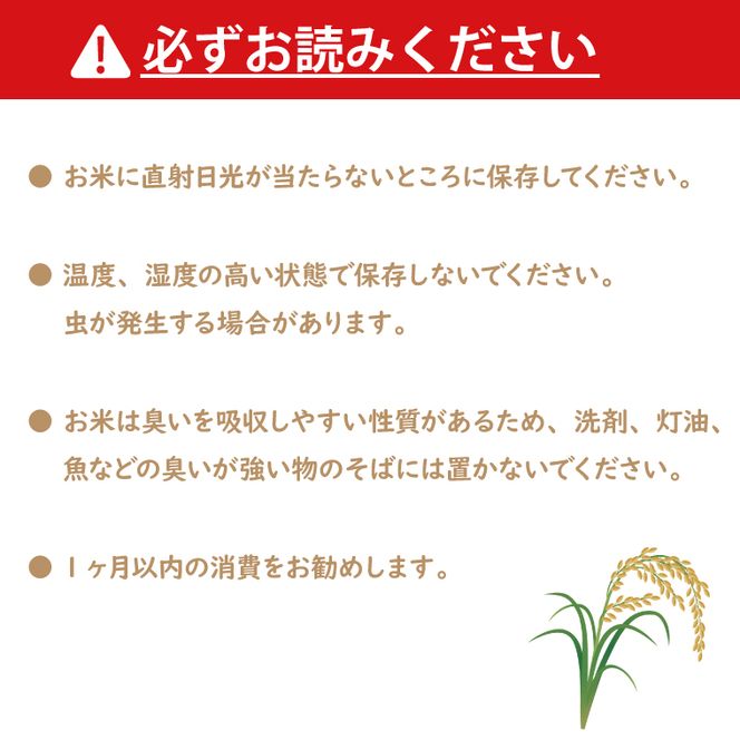 令和8年産 新米 茨城 コシヒカリ 10kg (5kg×２袋) 米 お米 おこめ 白米 ライス ご飯 精米 こしひかり 国産 茨城県産