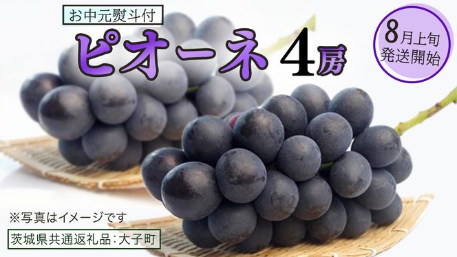 y錧vszy  lt z sI[l S[ y2026N8{Jnz(錧ʕԗiFq) uhE Ԃǂ  sI[l ʕ t[c ʎ