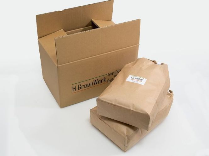 令和7年産 まっしぐら 白米 10kg(5kg×2) [H.GREENWORK] 青森県 鯵ヶ沢産 / お米 精米 こめ おこめ ごはん 津軽