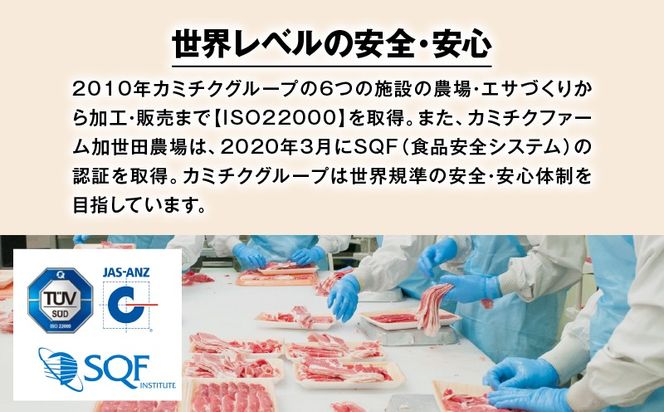 【全4回】A5等級鹿児島黒毛和牛赤身定期便　K002-T01