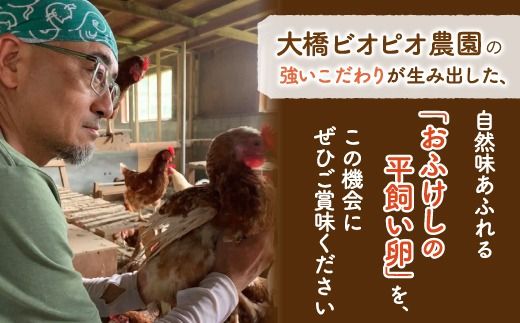 北海道 豊浦 おふけしの平飼い卵 48個 TYUZ003