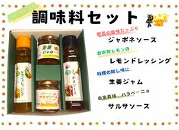 【一週間以内に発送】〈ギフト〉調味料セット【アグリCATS】_HA1848
