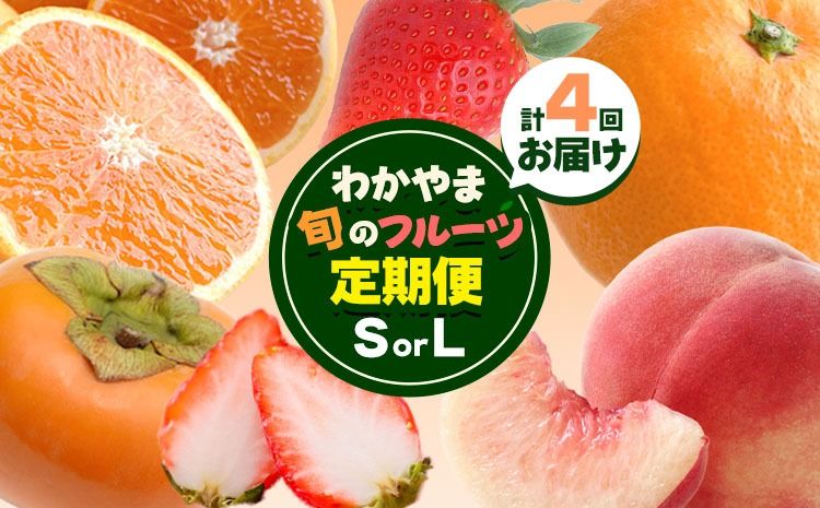 わかやま旬の フルーツ 定期便 [全4回] 選べる 内容量 S L 有田マルシェ[発送月固定・全4回出荷] 和歌山県 日高町 苺 いちご 柑橘 オレンジ 小玉 みかん 有田 みかん たねなし柿 柿 桃 モモ もも 果物 定期 柑橘 果物[配送不可地域あり] ---wsh_arm68_30d_41000_s---