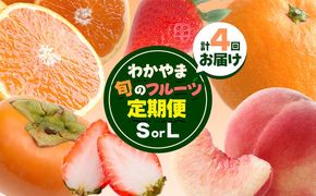 わかやま旬の フルーツ 定期便 【全4回】 選べる 内容量 S L 有田マルシェ《発送月固定・全4回出荷》 和歌山県 日高町 苺 いちご 柑橘 オレンジ 小玉 みかん 有田 みかん たねなし柿 柿 桃 モモ もも 果物 定期 柑橘 果物【配送不可地域あり】 ---wsh_arm68_30d_41000_s---