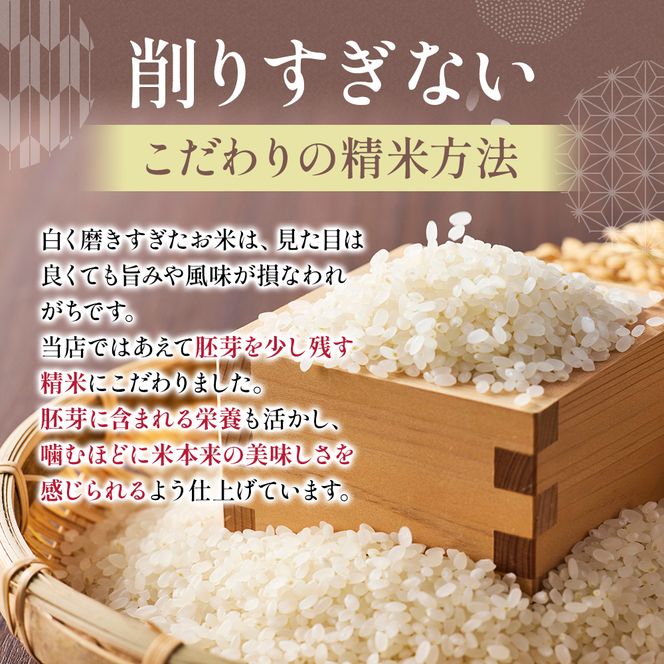 令和7年度産【十日町産】 魚沼産コシヒカリ20kg 米 お米 こしひかり 精米 新潟 