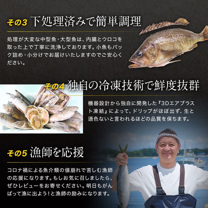 【2026年3月下旬発送】北海道 冷凍鮮魚セット 最大4kg 「漁師応援プロジェクト！」 下処理済み 冷凍 鮮魚 海鮮 海産 地元 ホタテ 期間限定