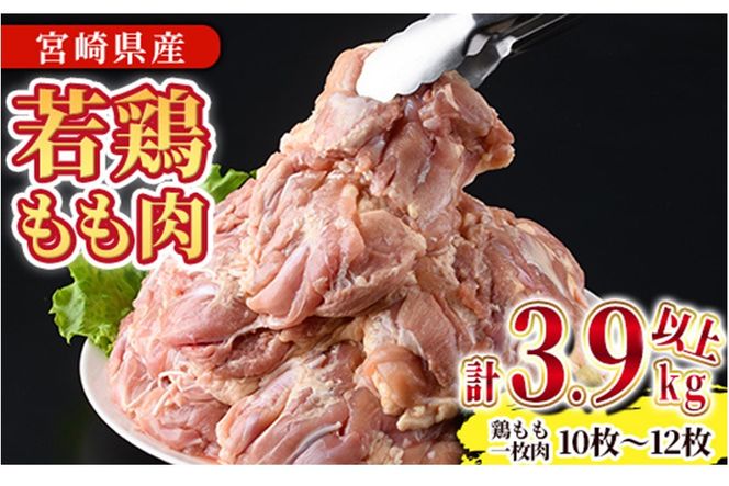 y{茧쒬z{茧Y{(v3.9kgȏE{ꖇ250`350g×10`12)   Ƃ { {  Y {茧Y g g 炠 Ⓚ ֗ yNK-03zyt[Yz