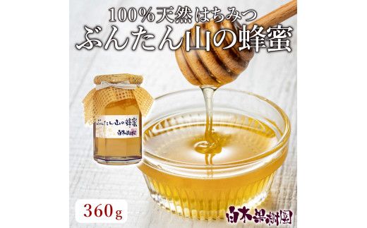 爽やかな香り広がる100%天然蜂蜜 ぶんたん山の蜂蜜　360g  / はちみつ ハチミツ 高知県産 国産 天然はちみつ 土佐 高知 【白木果樹園】【白木果樹園】 [BQAI057]
