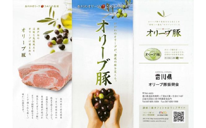 香川県産オリーブ豚ロース500g 豚肉 肉 お肉 香川 香川県 東かがわ市