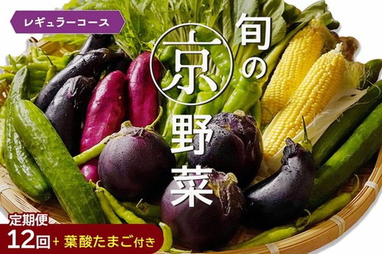 [12回定期便]旬の京野菜 毎月お届けレギュラーコース(全12回)&『葉酸たまご』6個入り×1パック×3回分付 ※沖縄・離島・諸島へのお届け不可