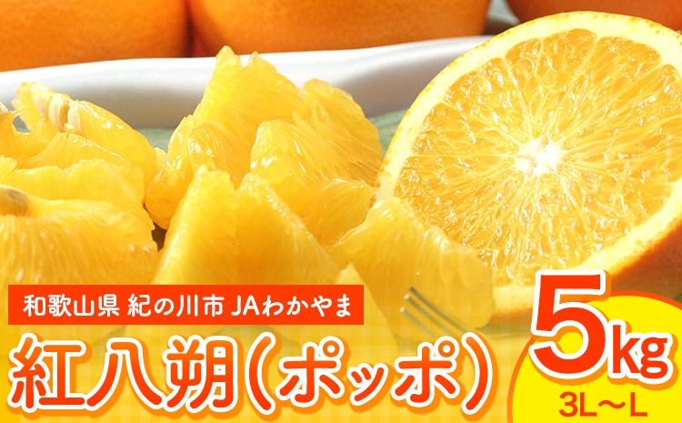 [先行予約]紅八朔(ポッポ) 5kg(3L-L) JAわかやま 紀の里地域本部 [2026年3月中旬-3月末頃出荷] 和歌山県 紀の川市 果物 フルーツ 柑橘 はっさく---wsk_jak19_3c3m_24_11000_5kg---