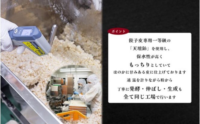 発芽にんにく餃子30個入り3パック　餃子 にんにく にんにくたっぷり 国産にんにく 発芽にんにく 冷凍 臭わない 栄養価抜群 スタミナ 免疫アップ おつまみ おかず 総菜 餃子専門店 ぎょうざ 工場直売 大量 まとめ買い 