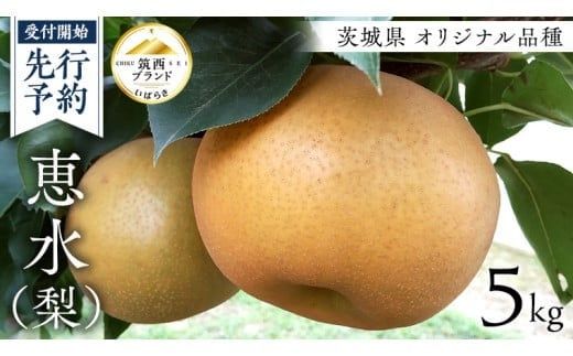 【 JA 北つくば 】 筑西ブランド 認証品 恵水 5kg 2026年産 先行予約 梨 果物 フルーツ なし ナシ 赤梨 贈り物 贈答 贈答用 [AE024ci]