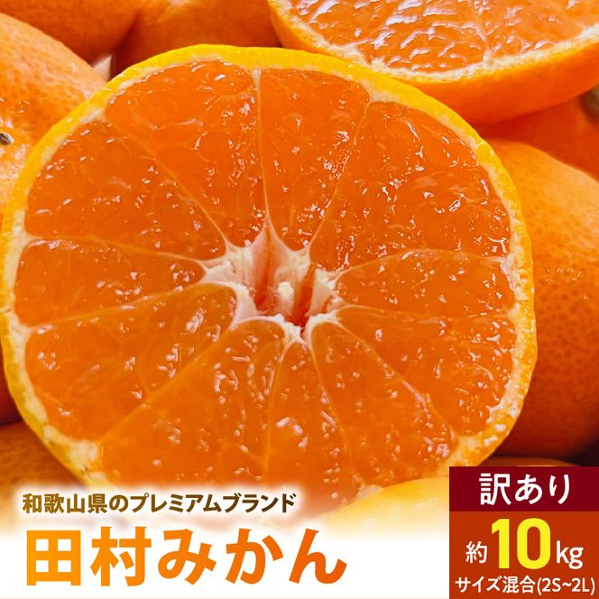 AB7300_ 【2026年先行予約】ご家庭用 田村みかん サイズ混合(2S～２L) 約10kg わけあり 訳あり 不揃い 和歌山プレミアムブランドみかん 小玉 中玉 大玉 蜜柑 ミカン フルーツ 果物